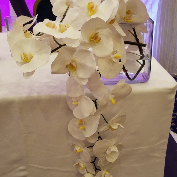 Meet your Posher, R - Picture 2 of 3